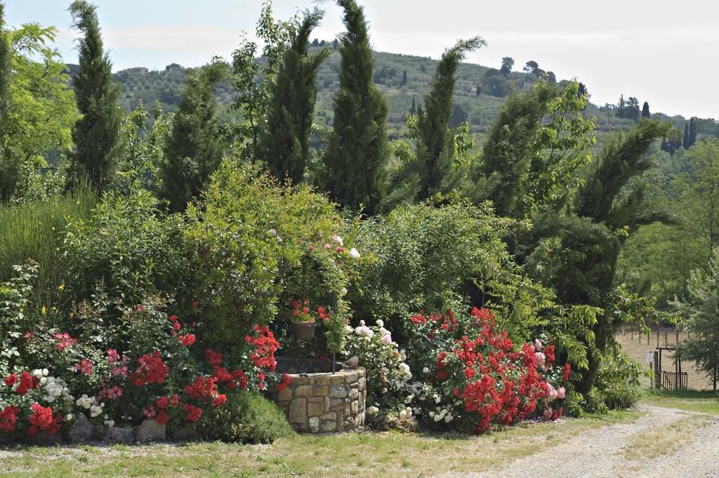 La Buca Di Montauto Hotel San Gimignano Eksteriør billede