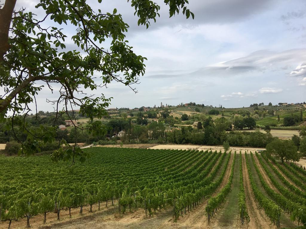 La Buca Di Montauto Hotel San Gimignano Eksteriør billede